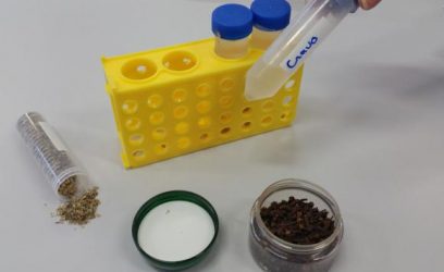 PUC/MG desenvolve pesquisa com óleos de orégano e cravo para combate ao Aedes aegyptiLeo Rodrigues/Agência Brasil