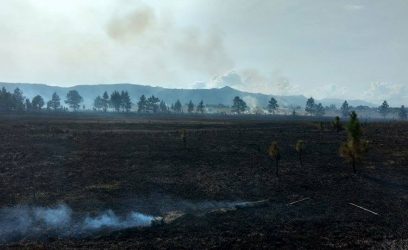 Incêndio em área às margens da Estrada do Mar chama atenção de moradores em Osório