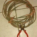 Criminosos com motosserra derrubam postes para furtar fios no Litoral