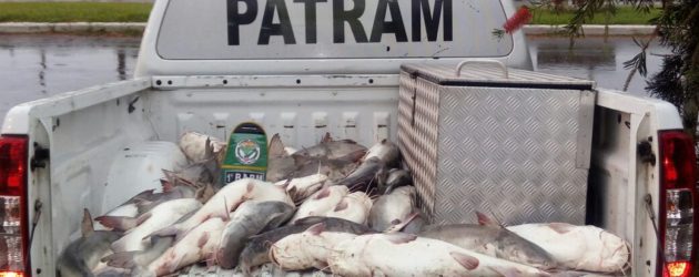 Patram faz operação contra a pesca ilegal e prende quatro no Rio Tramandaí