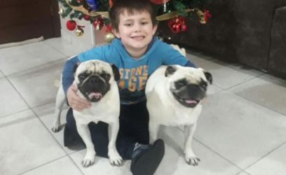 Família de menino autista encontra cães da raça pug furtados em Capão da Canoa