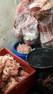 Insetos dentro de embalagens e até baratas nas prateleiras: ação do MP fiscalizou estabelecimentos em Torres