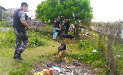 Pinos de cocaína e crack, além de maconha são apreendidos em operação em Balneário Pinhal