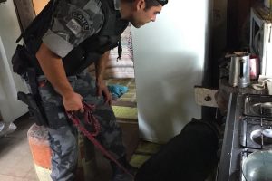 Cão da BM localiza drogas e casal é preso em Tramandaí